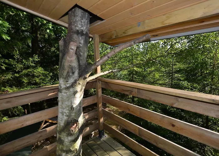 Majatek Gize Marczak * اوليتسكا