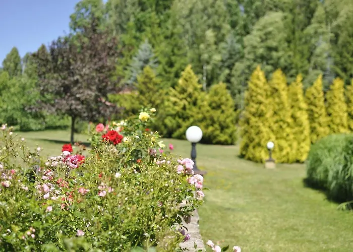 Majatek Gize Marczak Rezort Olecko